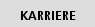 Karriere