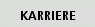 Karriere